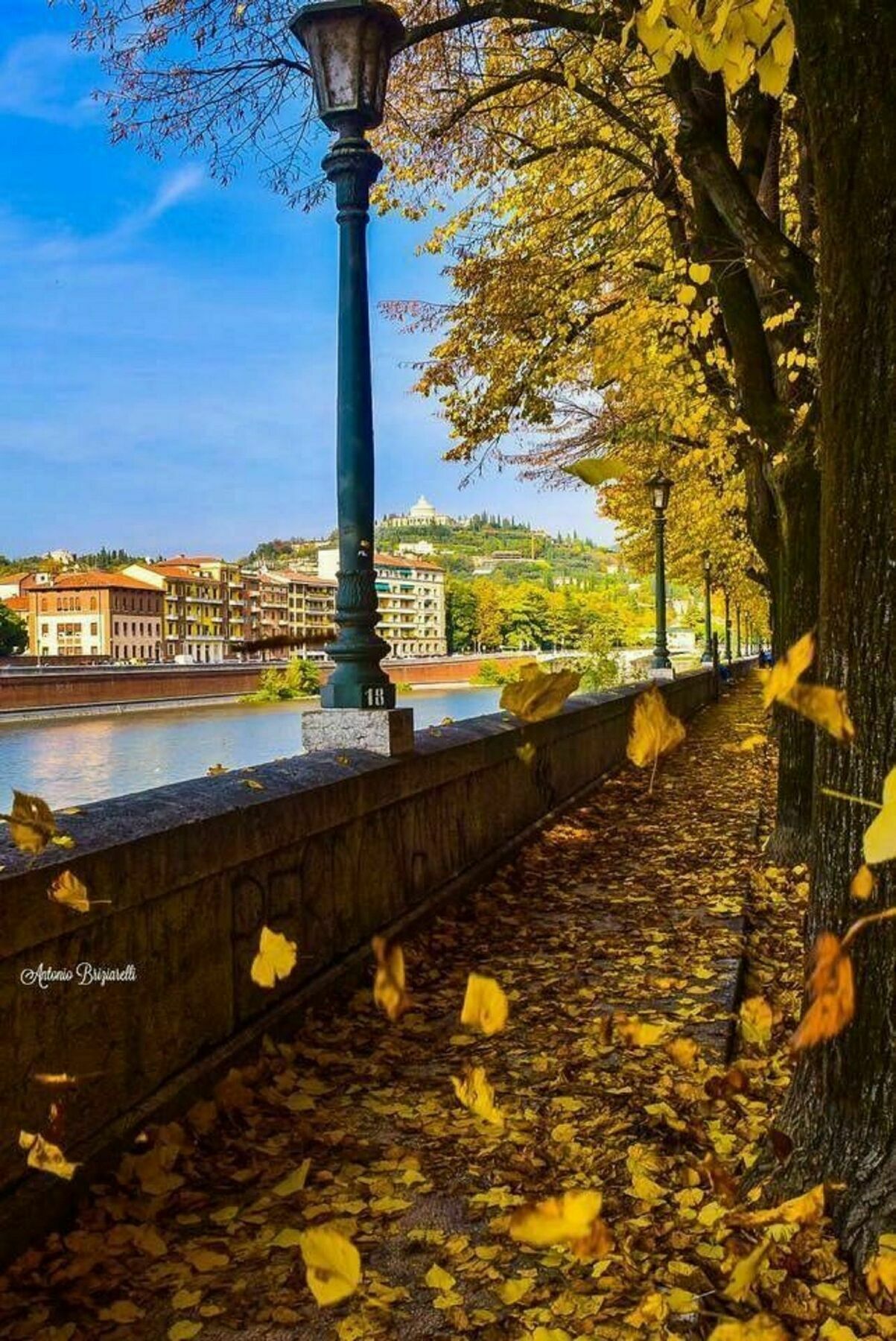 Apartment Letters To Juliet Verona